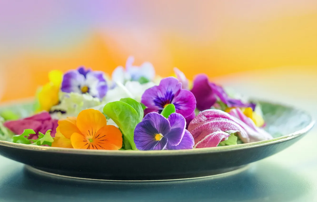 Фото обои цветы, фон, тарелка
