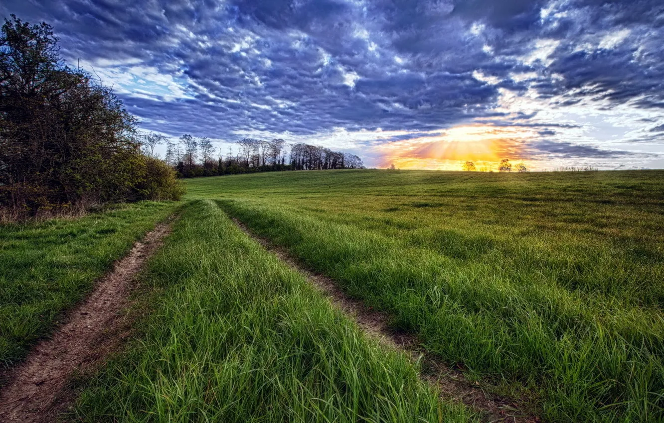 Фото обои дорога, трава, солнце, облака, закат, горизонт
