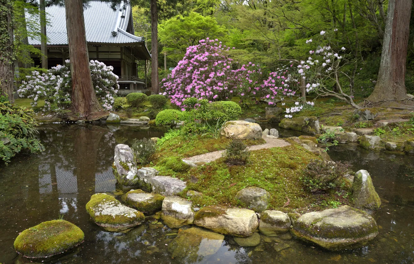 Фото обои Цветы, Природа, Деревья, Япония, Сад, Пруд, Камни, Храм