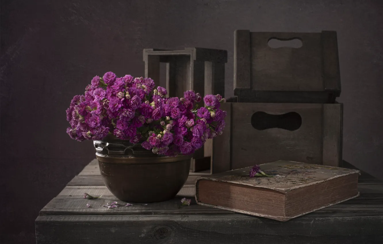 Фото обои цветы, темный фон, доски, букет, горшок, книга, ящики, розовые