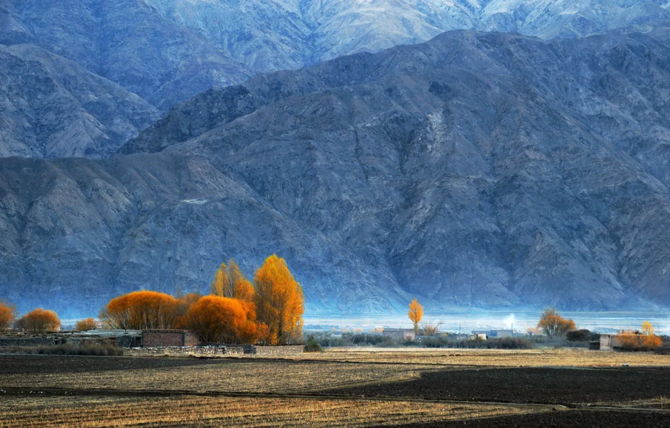 Фото обои осень, деревья, горы, Памир