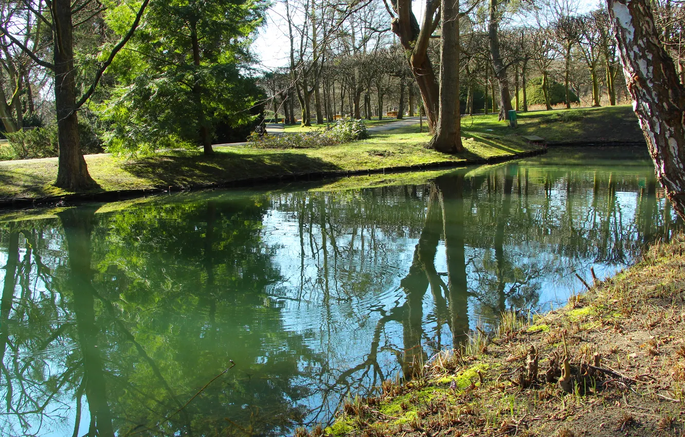 Фото обои water, park, lake, pond