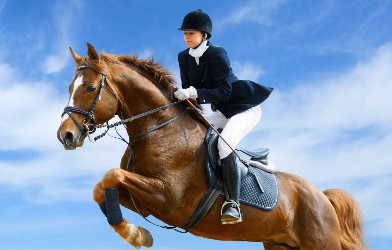 Фото обои sport, girl, horse