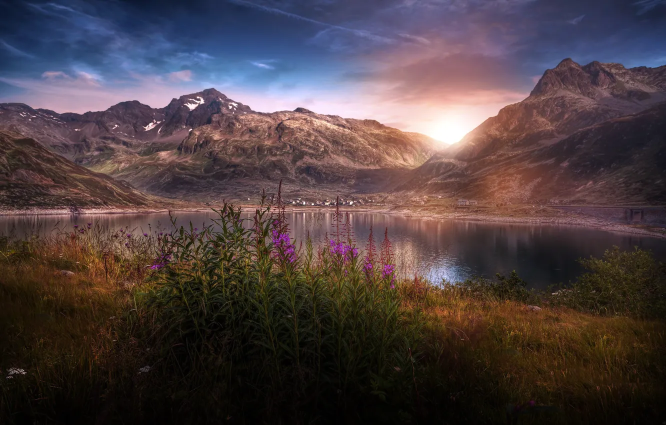 Фото обои цветы, горы, природа, озеро
