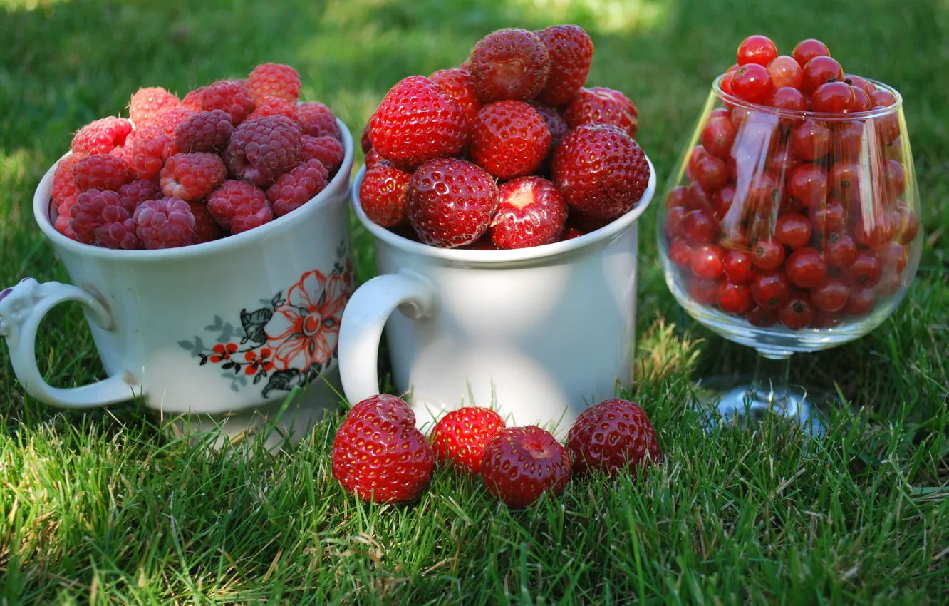 Фото обои трава, макро, ягоды, малина, бокал, клубника, чашки, кружки