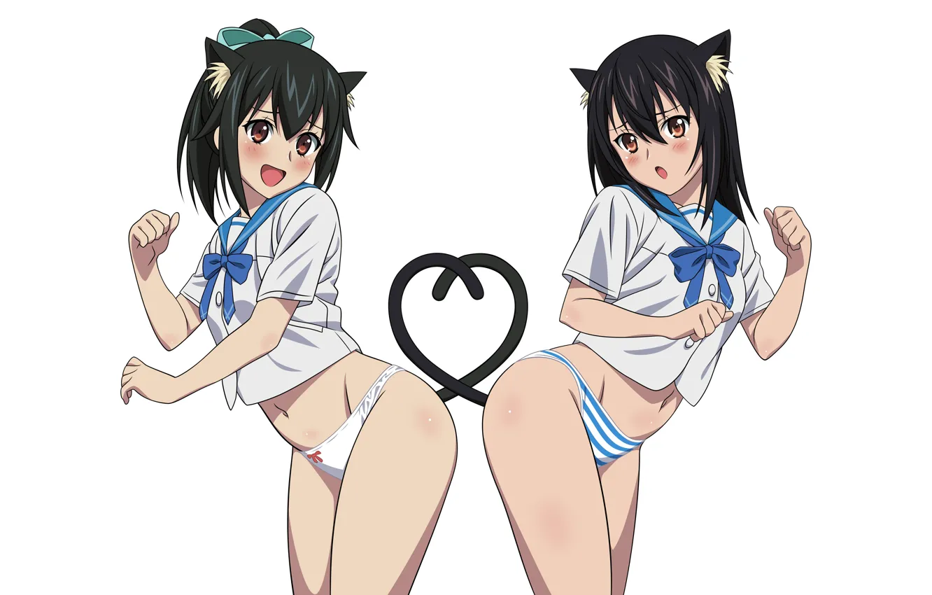 Фото обои sexy, lingerie, pantsu, school uniform, panties, long hair, girls, brown eyes
