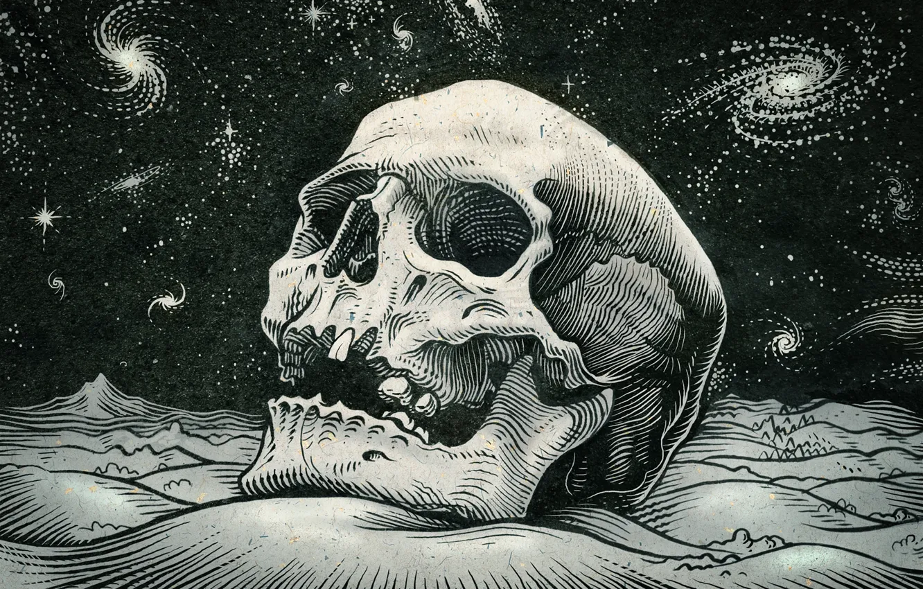 Фото обои космос, звезды, череп, skull