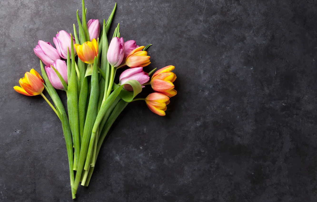 Фото обои цветы, букет, colorful, тюльпаны, pink, flowers, tulips, spring