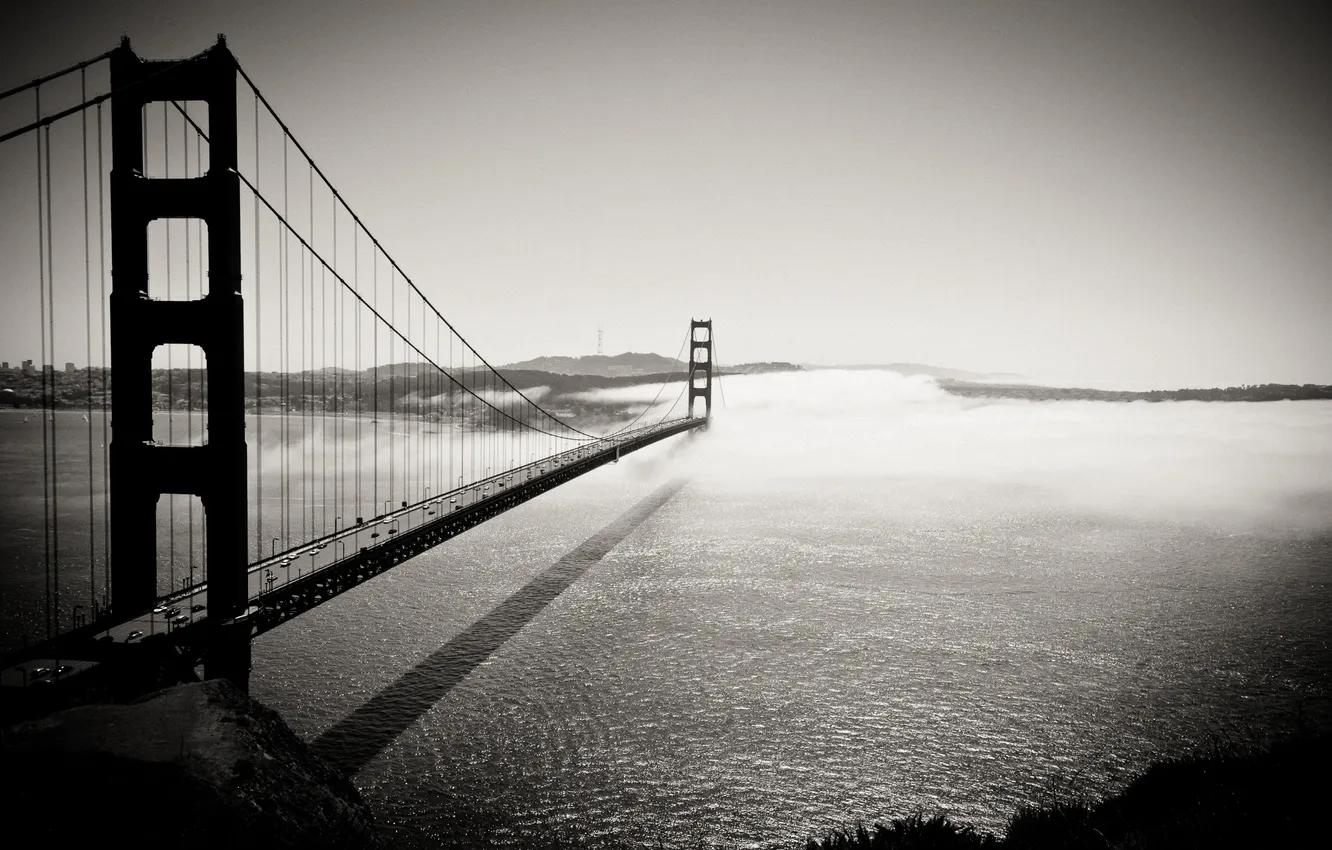 Фото обои мост, ч/б, калифорния, golden gate bridge, Into the Fog
