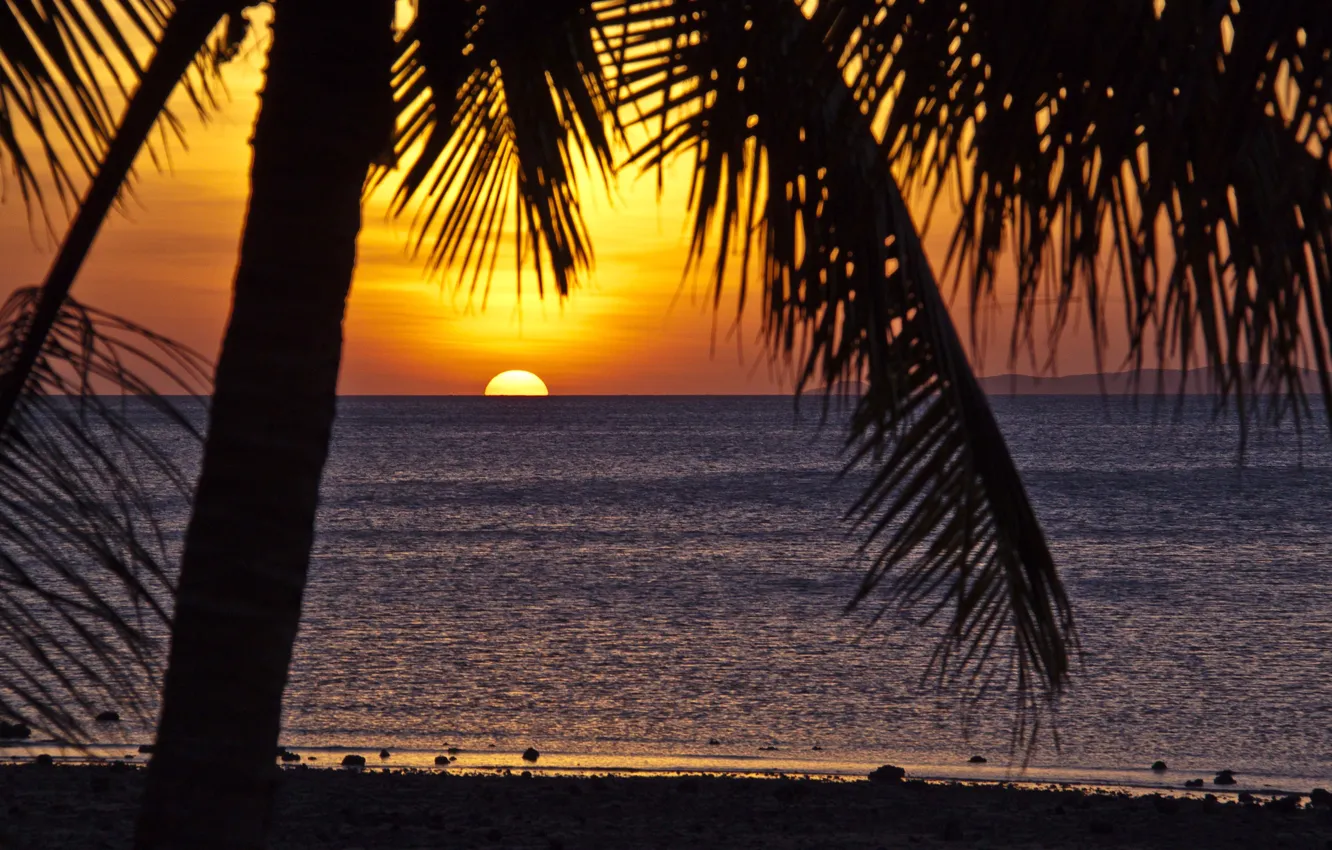 Фото обои тропики, пальмы, океан, вечер