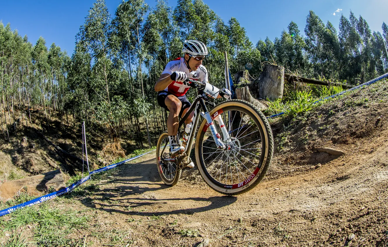 Фото обои велосипед, гонка, спорт