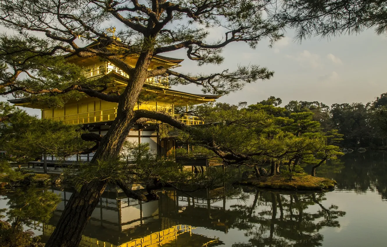 Фото обои деревья, озеро, парк, Япония, островок, Киото