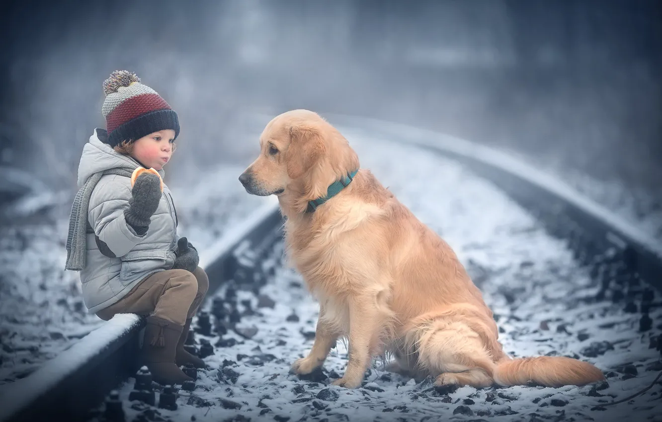 Фото обои зима, снег, животное, рельсы, собака, ребёнок, пёс, бублик