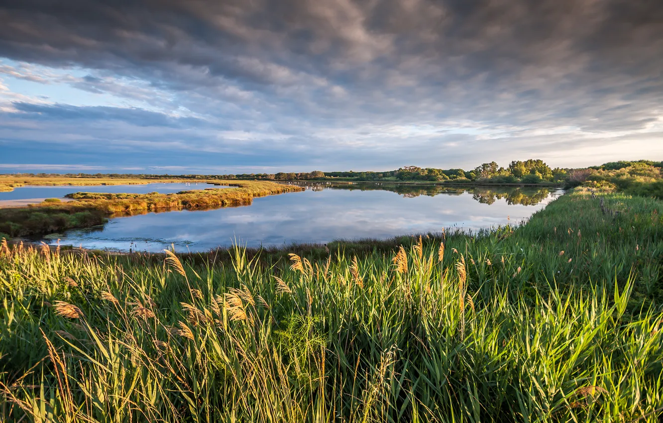 Фото обои небо, трава, облака, пейзаж, природа, озеро, France, Petite Camargue