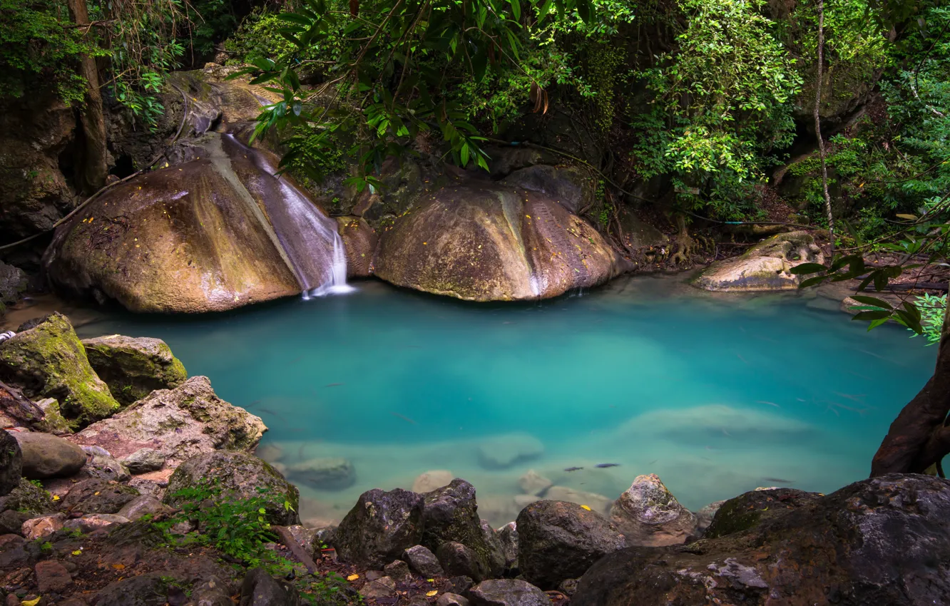 Фото обои вода, природа, озеро, камни, растительность, джунгли