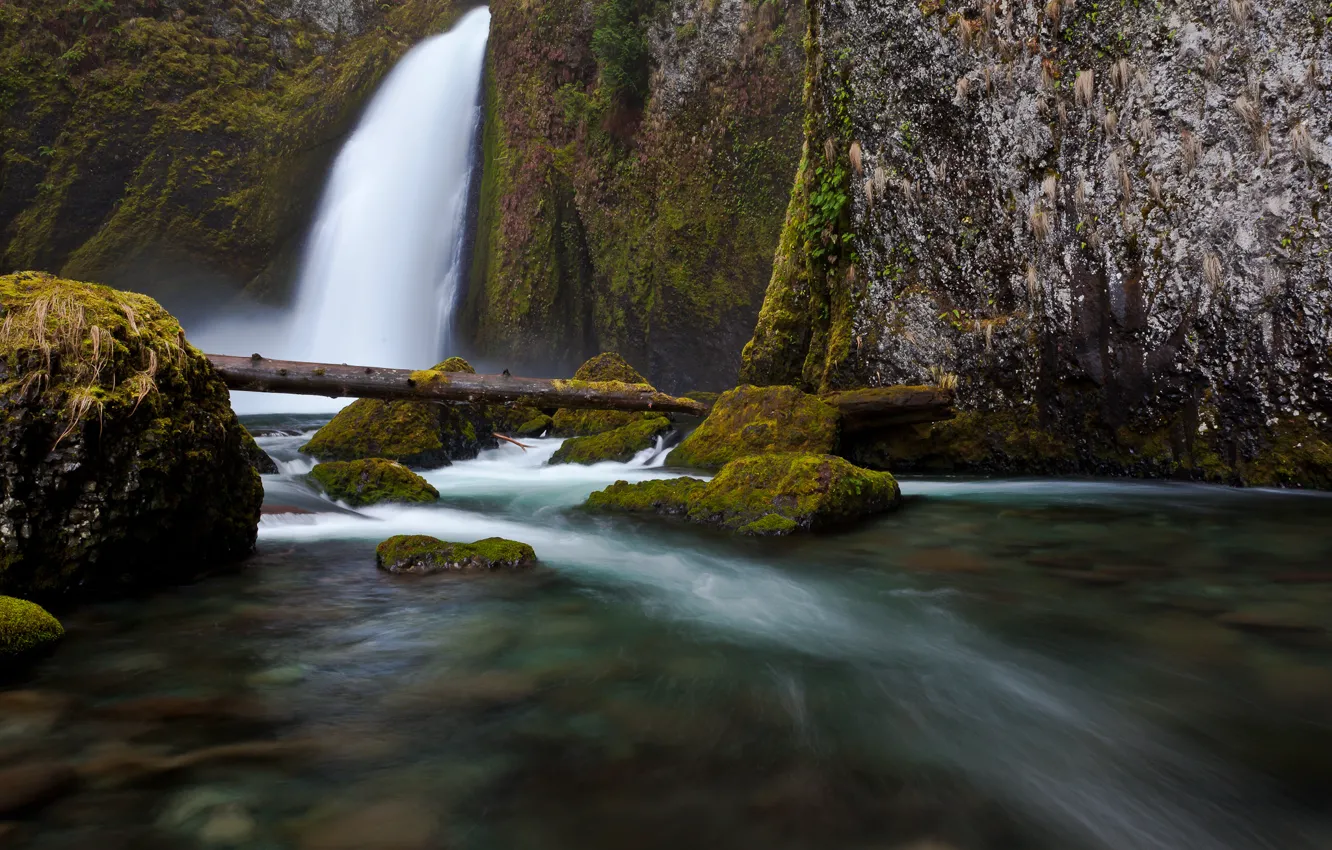 Фото обои вода, ветки, природа, река, камни, скалы, водопад