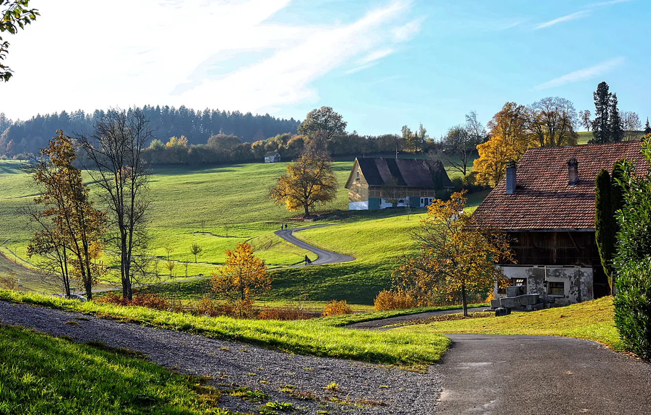Фото обои дорога, деревья, холмы, дома