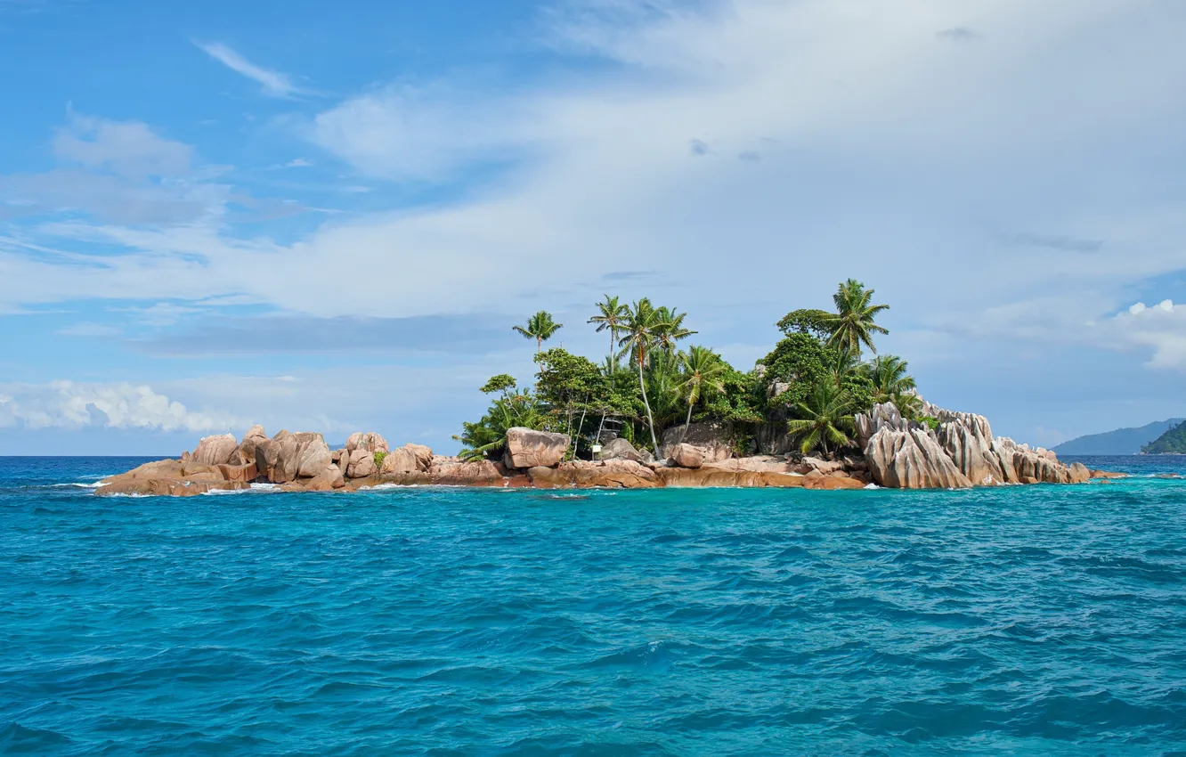 Фото обои море, камни, пальмы, побережье, остров