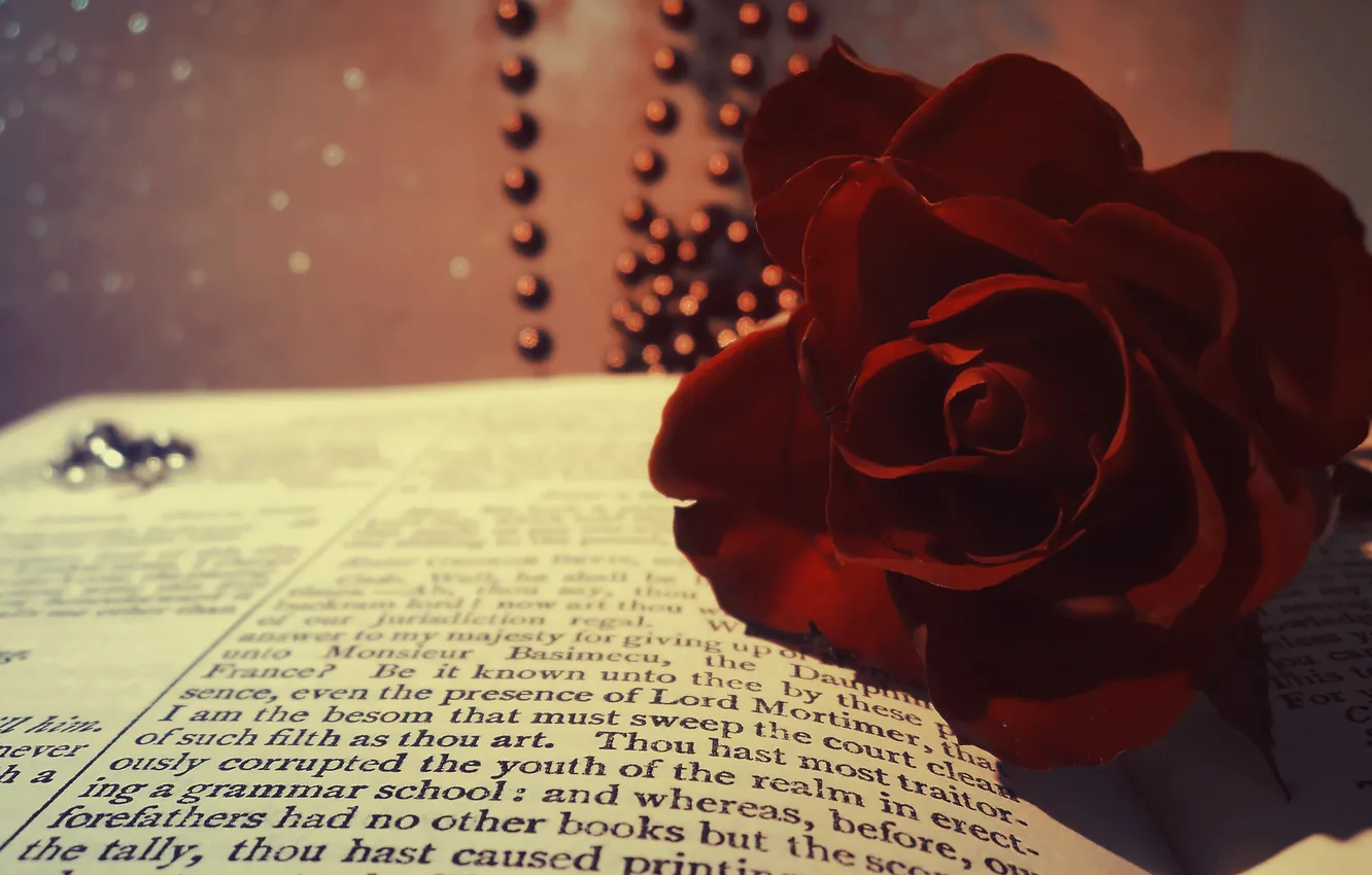 Фото обои цветок, макро, роза, бусы, книга, красная, бордовая