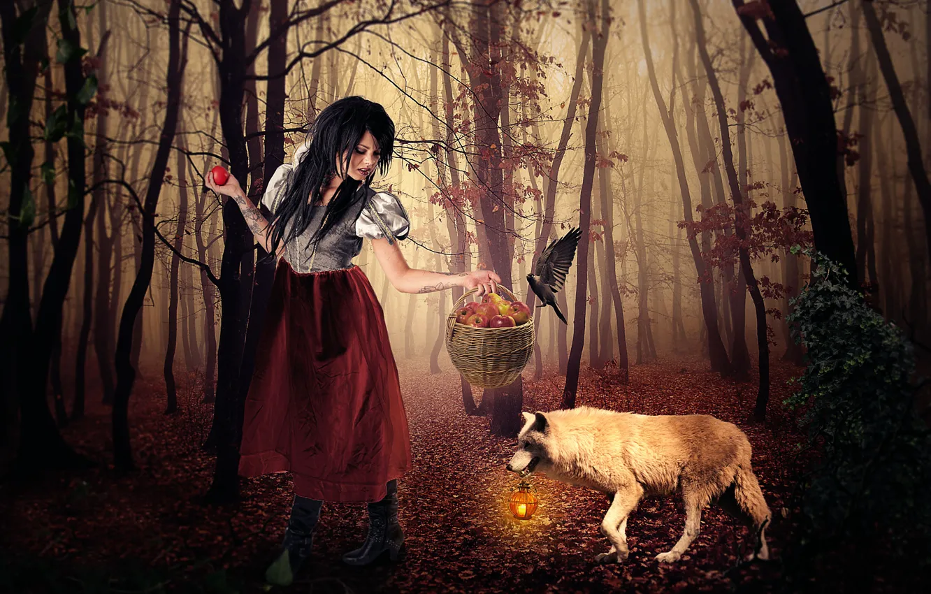 Фото обои лес, девушка, корзина, яблоки, волк