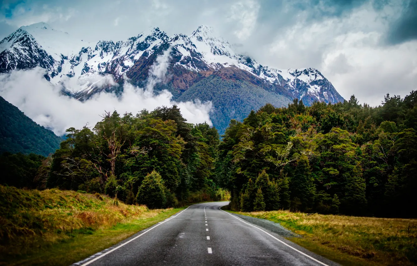 Фото обои дорога, зелень, природа, туман, обои, ели, горыдеревья