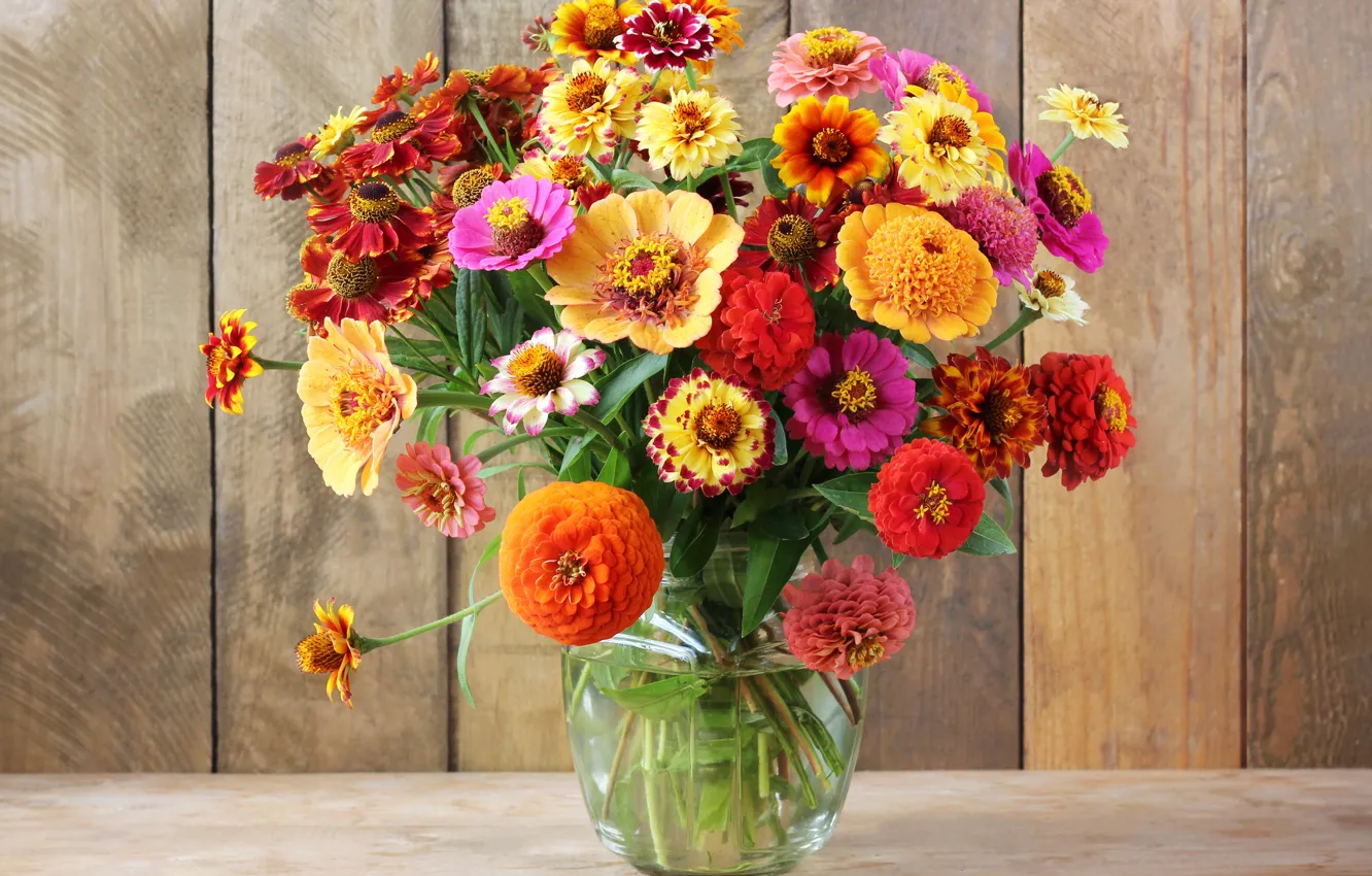 Фото обои осень, цветы, букет, colorful, натюрморт, flowers, autumn, still life