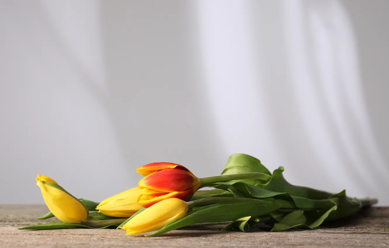 Фото обои цветы, стол, стебли, тюльпаны