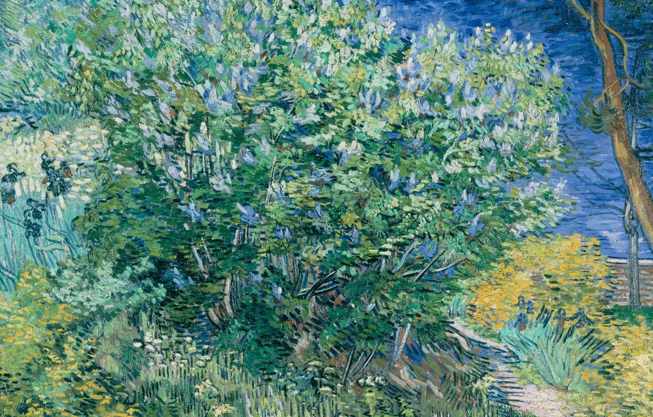 Фото обои пейзаж, картина, Vincent Willem van Gogh, Винсент ван Гог, Куст Сирени