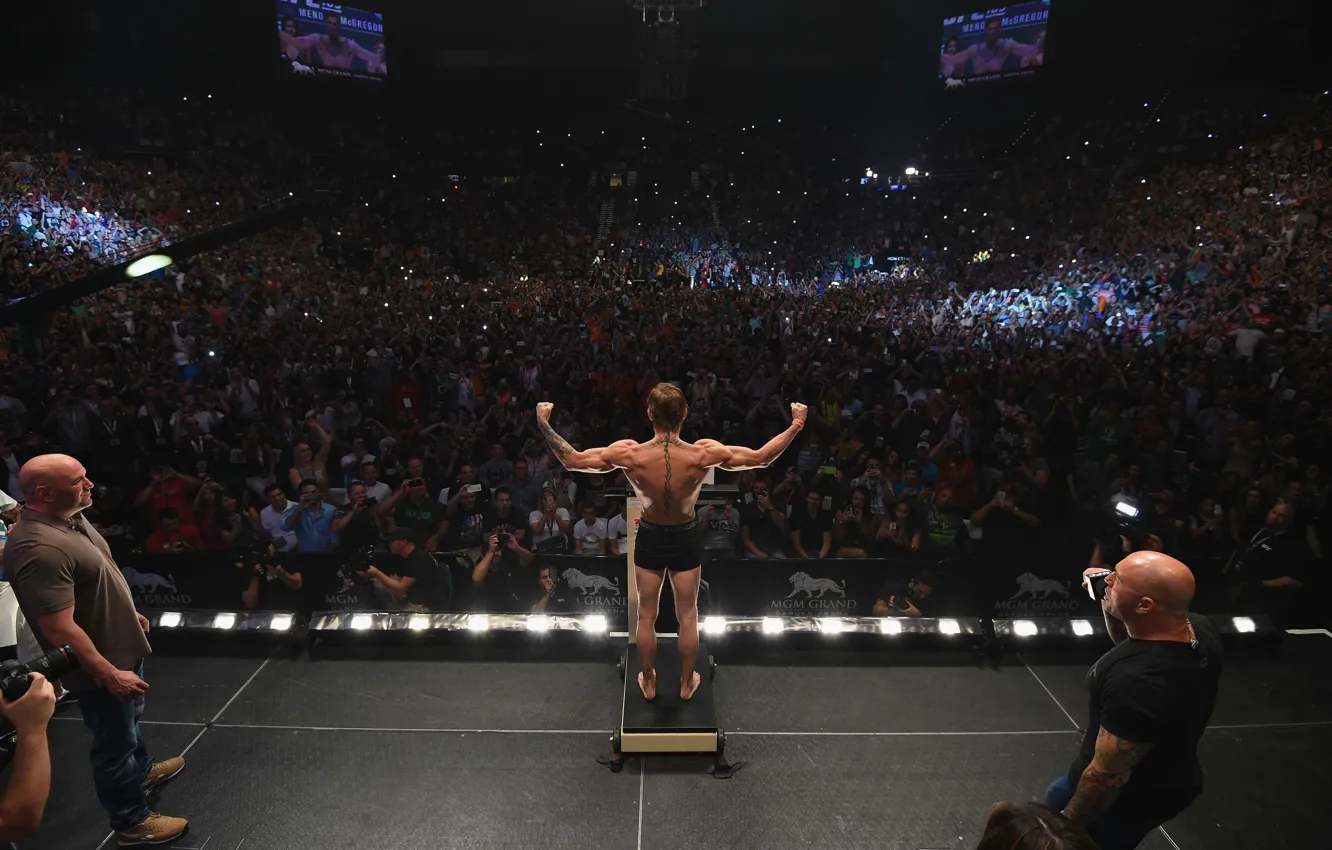 Фото обои MMA, UFC, Конор МакГрегор, Conor McGregor