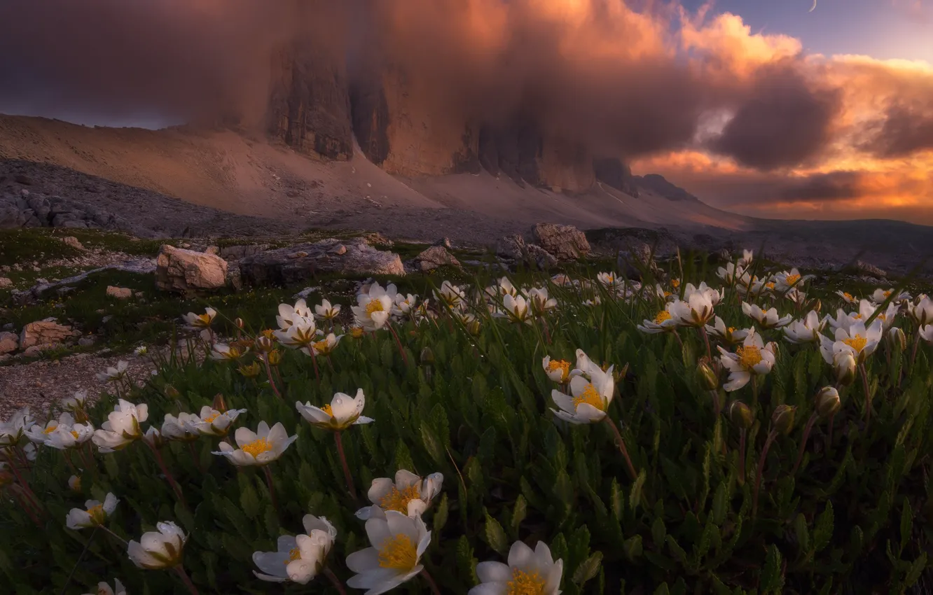 Фото обои облака, свет, цветы, горы, природа, Альпы