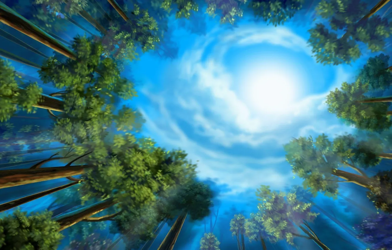Фото обои лес, небо, деревья, рисунок, зеленые