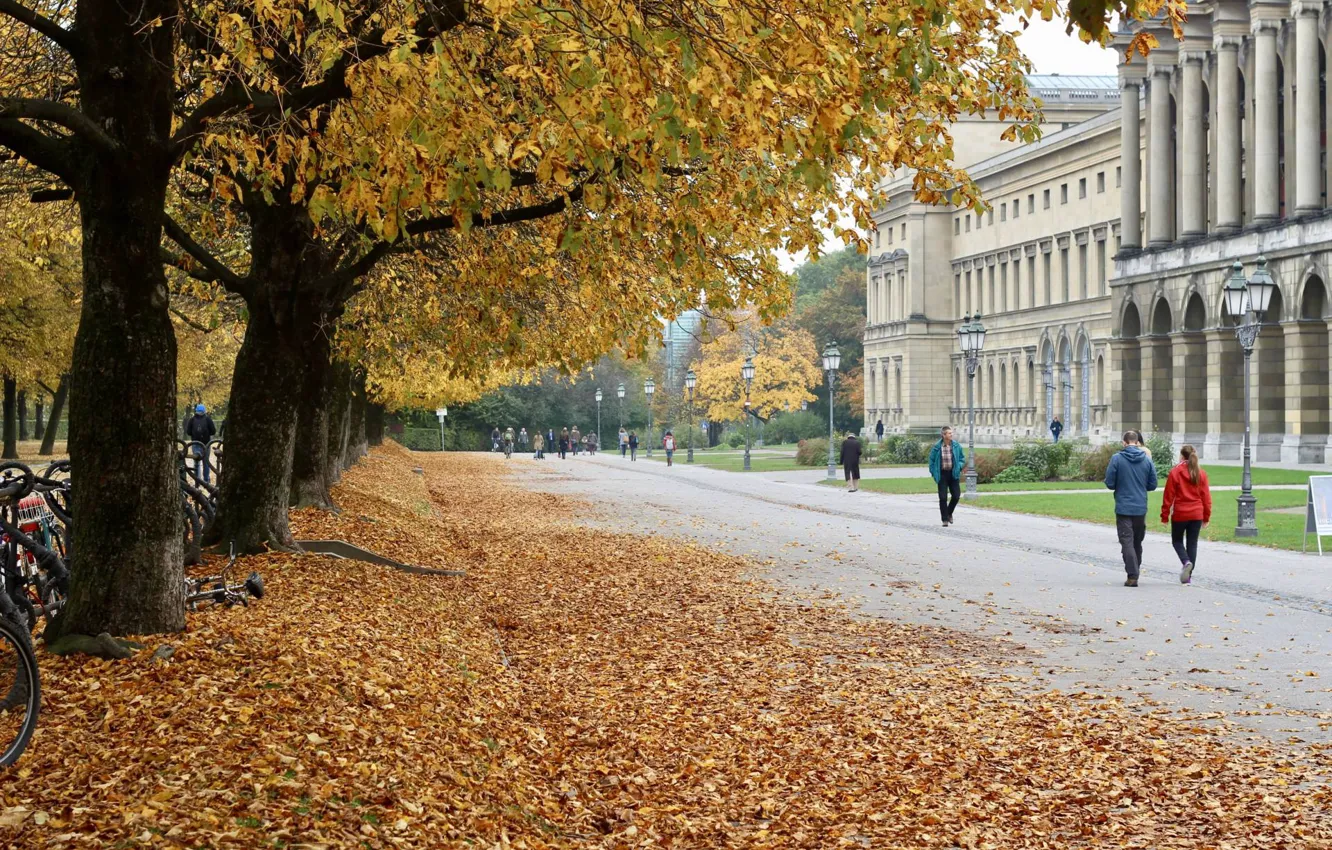 Фото обои осень, город, парк, улица, Германия, Autumn in Munich