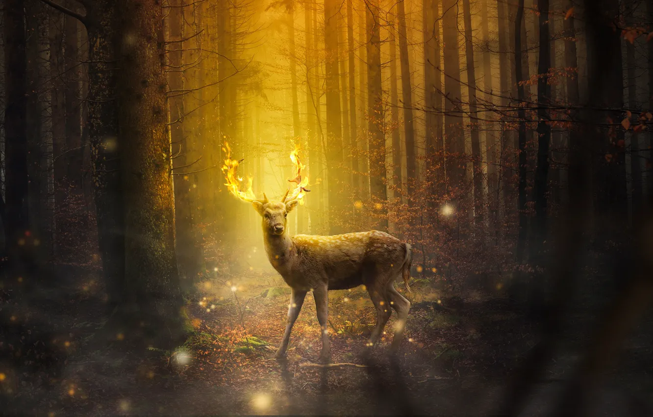 Фото обои лес, деревья, ночь, огонь, олень, огоньки, фэнтези, рога