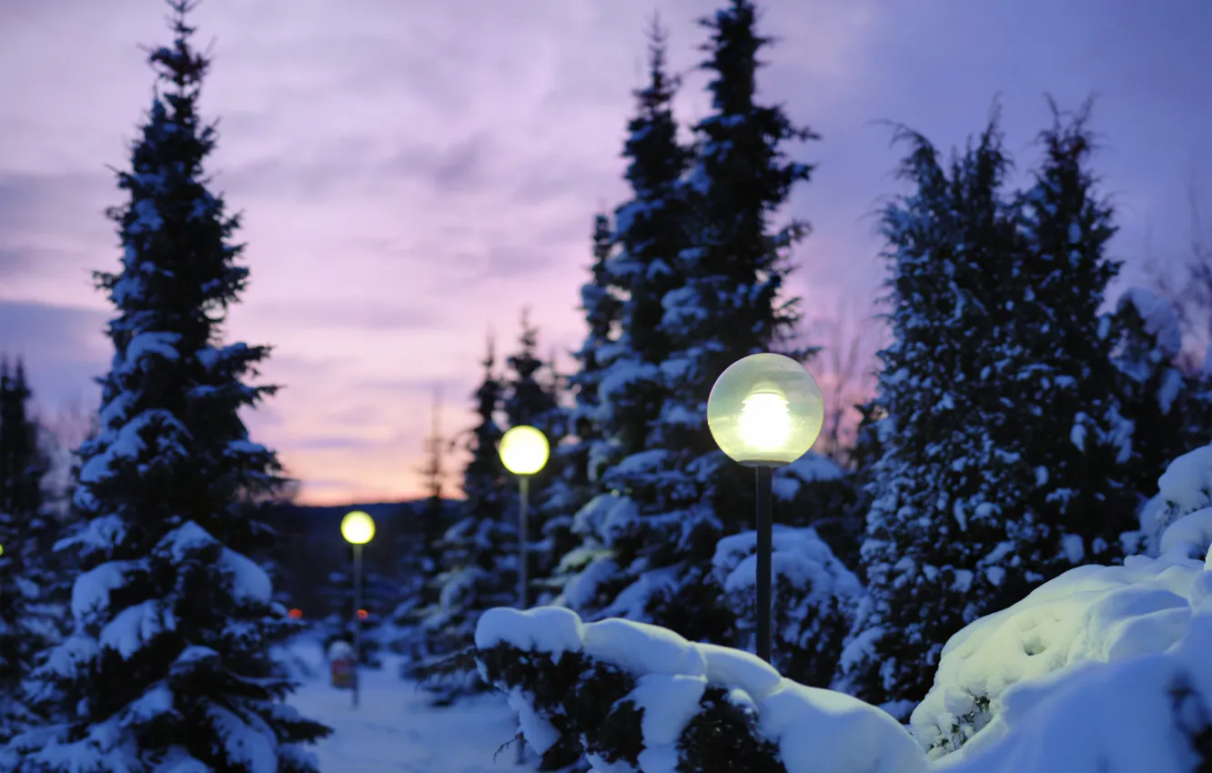 Фото обои зима, свет, снег, природа, вечер, фонари