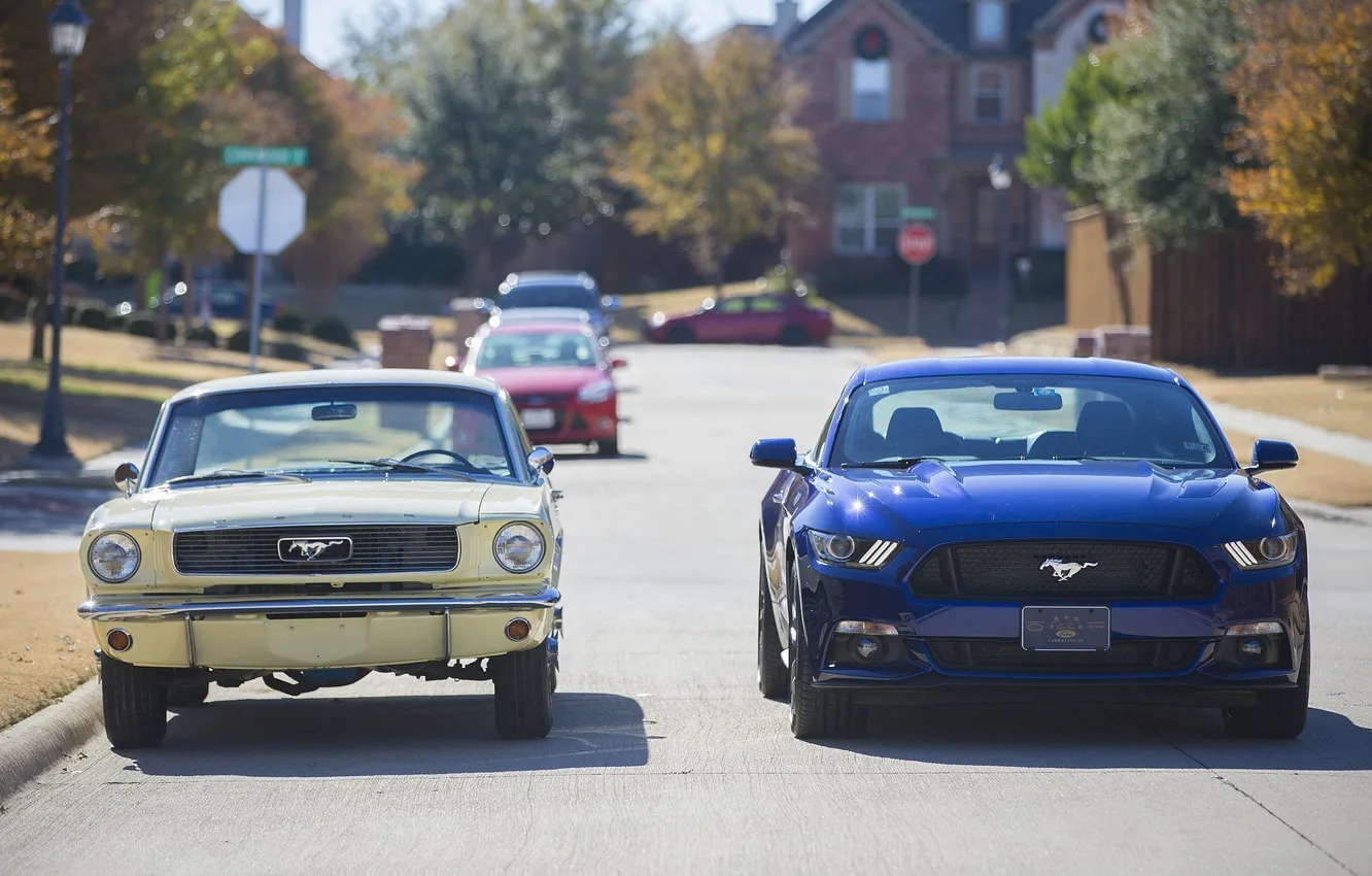 Фото обои дорога, улица, Ford, mustang