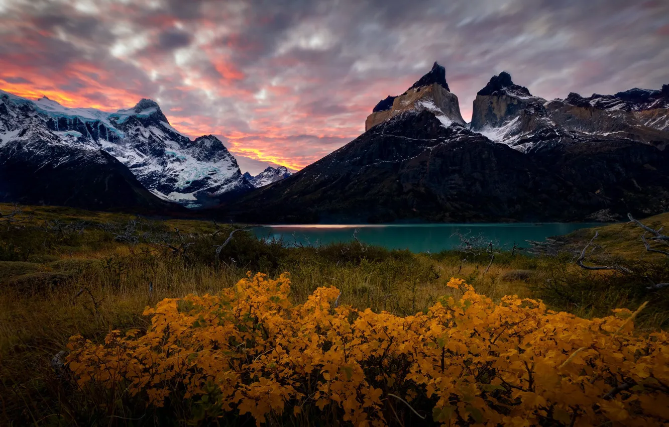 Фото обои осень, горы, озеро, листва, кусты, водоем, Анды, Патагония