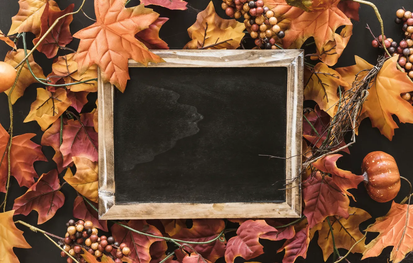 Фото обои осень, листья, фон, дерево, доски, colorful, wood, background