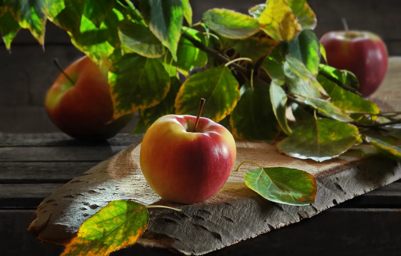 Фото обои листья, яблоки, доски, ветка, фрукты, Сергей Фунтовой