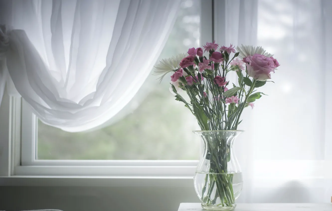 Фото обои цветы, окно, ваза