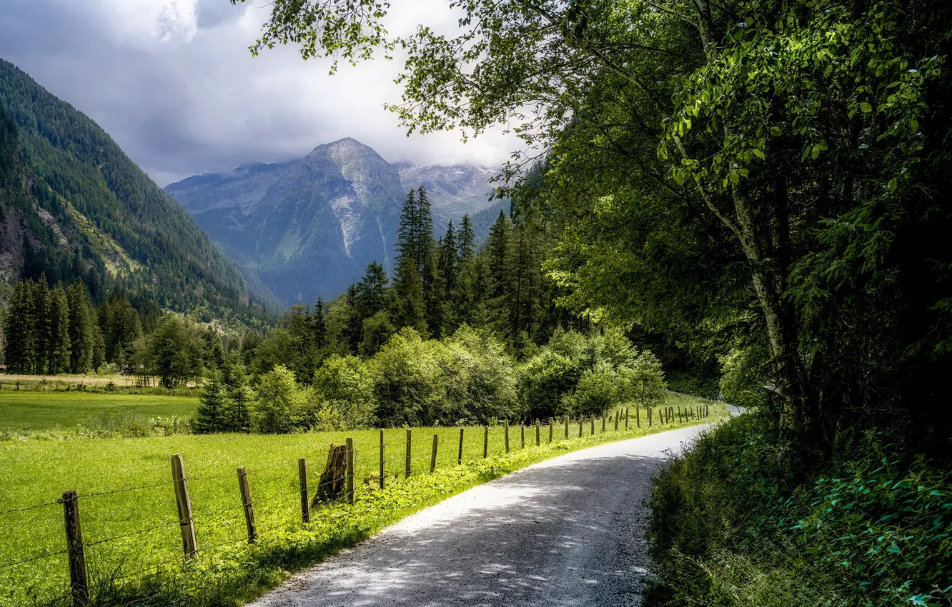 Фото обои дорога, лес, деревья, горы, Австрия, Austria, Hohe Tauern National Park