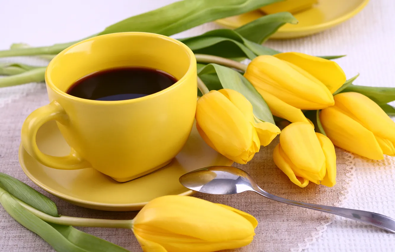 Фото обои цветы, кофе, чашка, тюльпаны, yellow, flowers, cup, tulips