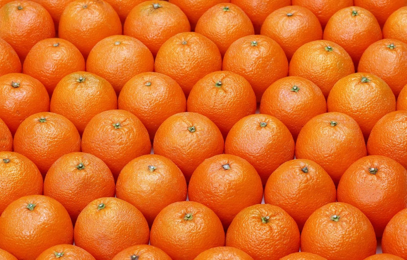 Фото обои pattern, fruits, oranges, ordered