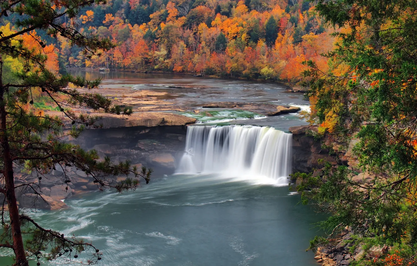 Фото обои осень, лес, деревья, природа, река, водопад, США