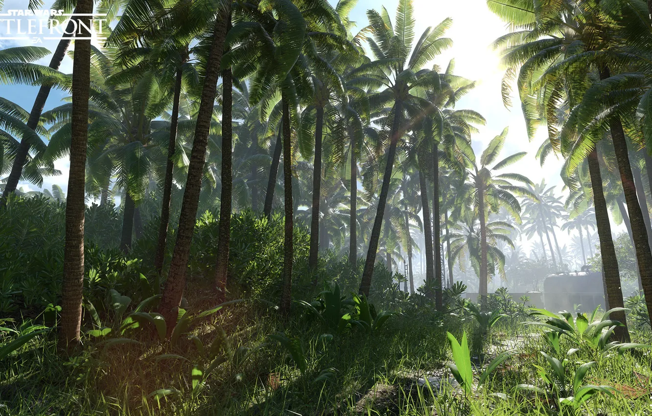 Фото обои природа, пальмы, растительность, Star Wars Battlefront, Scarif Vegetation