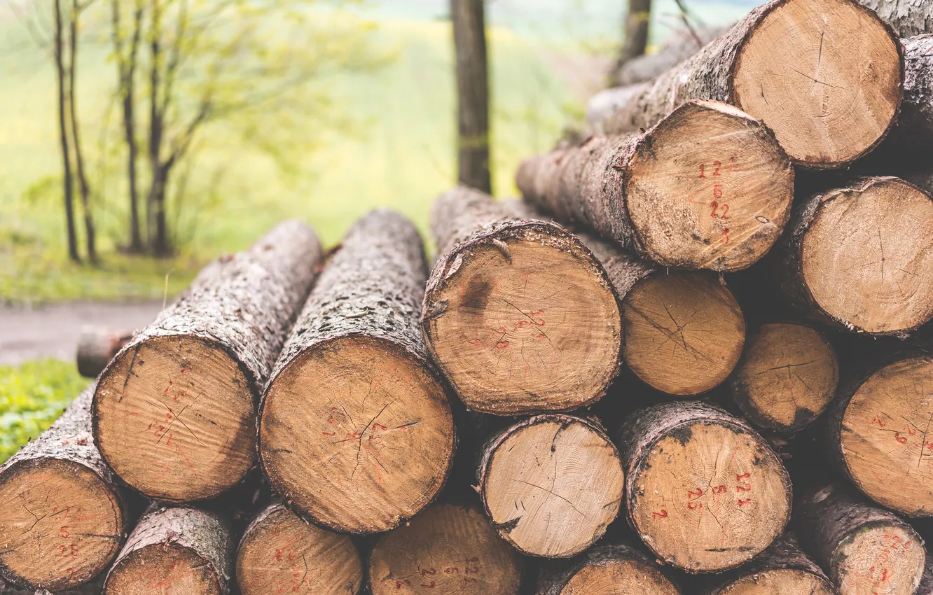 Фото обои wood, pile, logs