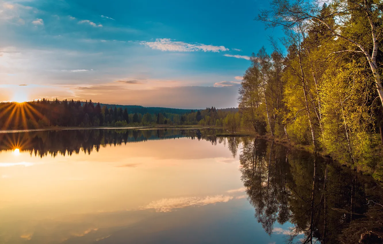 Фото обои осень, деревья, отражение, берег, берёзы, водоем