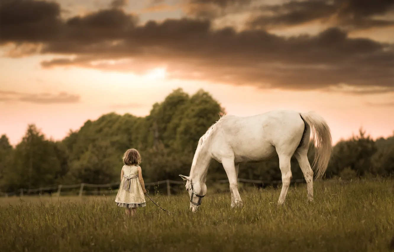 Фото обои лошадь, луг, девочка