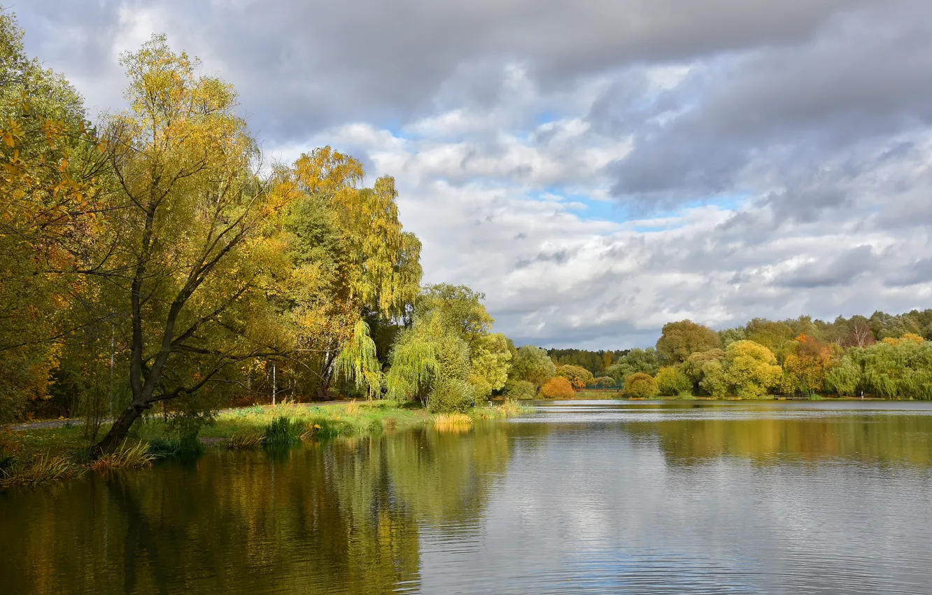 Фото обои осень, пруд, парк