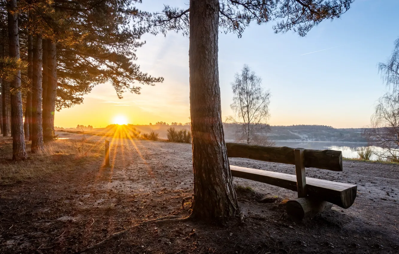 Фото обои парк, берег, скамья