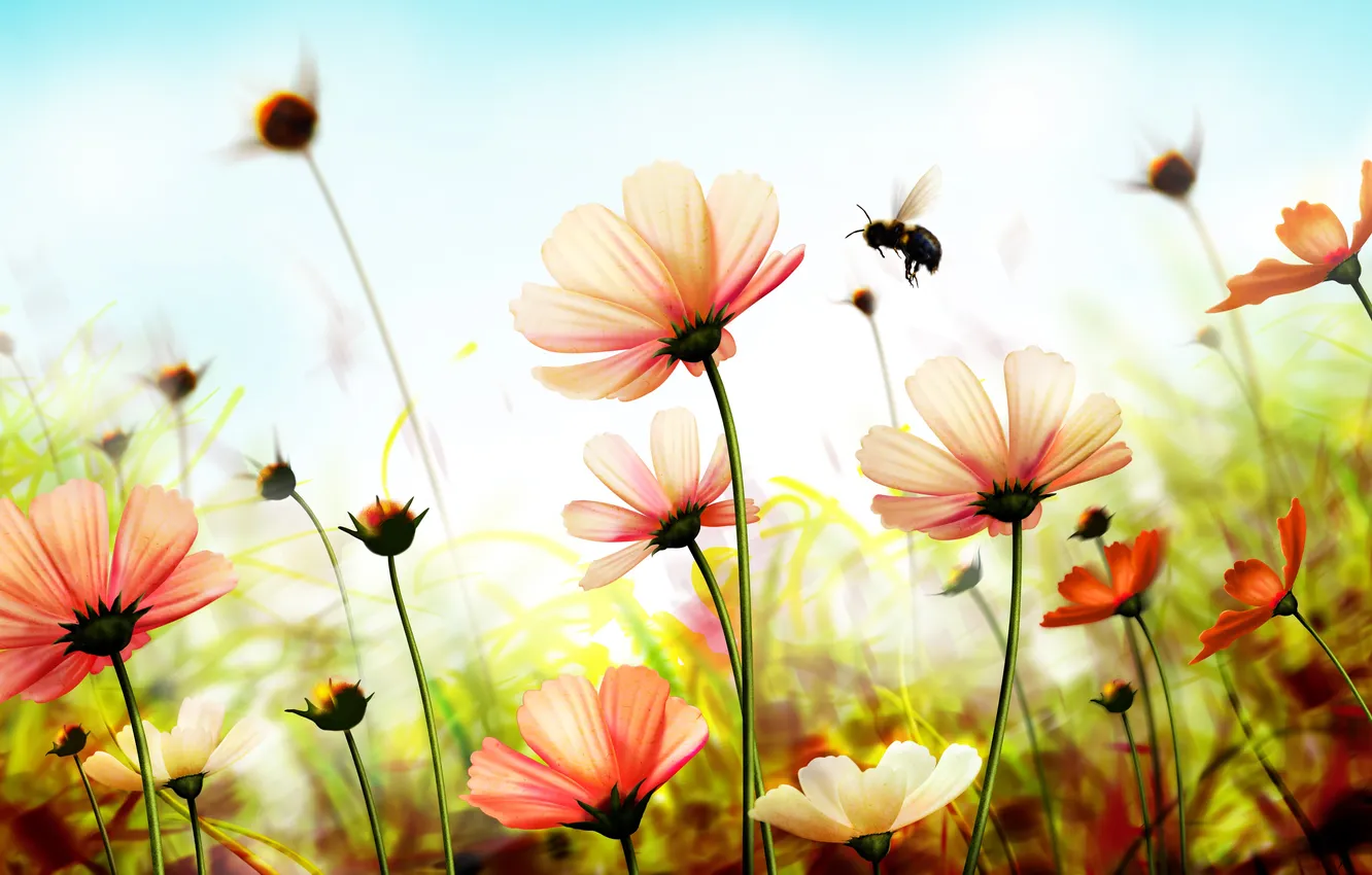 Фото обои цветы, пчела, весна, лепестки, шмель, flowers, spring
